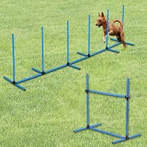 Amazon | Bonarca 犬 ドッグ アジリティ スラローム 運動 室内